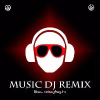 Dilbara Hindi Remix - Dj Shryakspin Remix